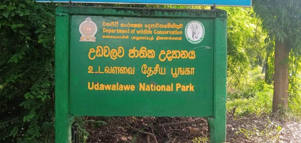 Udawalawe Wildlife & Nature Protection Bungalow エクステリア 写真