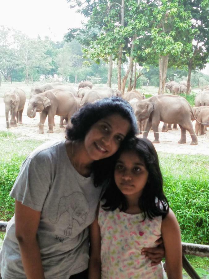 Udawalawe Wildlife & Nature Protection Bungalow エクステリア 写真